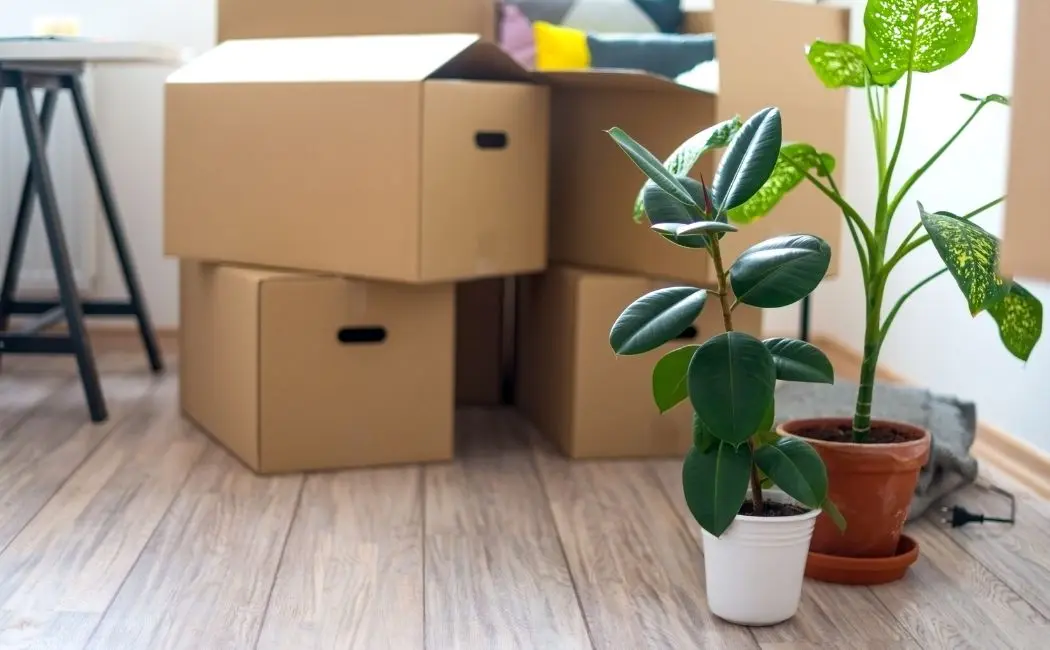 House clearance services are designed to help you deal with the clutter in your home