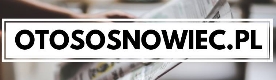 Informacje lokalne dla Sosnowca