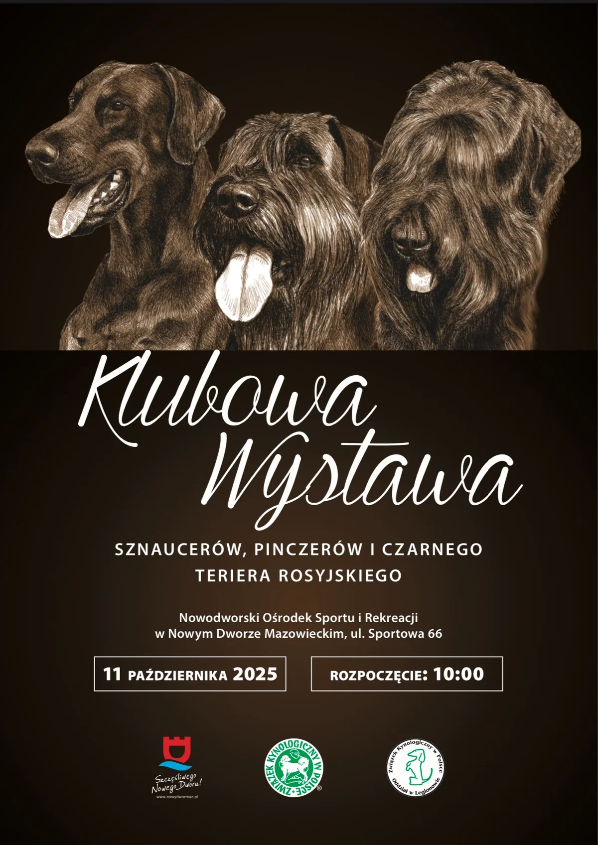 Grafika promocyjna wydarzenia Wystawa rasowych psów w Nowym Dworze Mazowieckim – październik 2025
