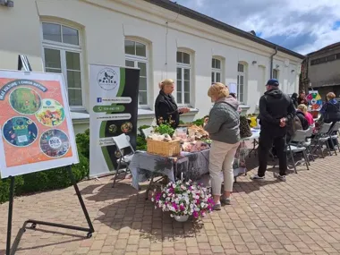 Ekologiczny piknik w Nowym Dworze przyciągnął tłumy. Od mikroskopu do budek dla ptaków