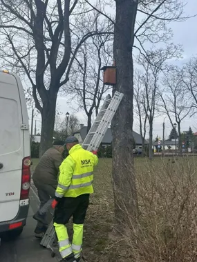 W Nowym Dworze Mazowieckim budki lęgowe stają się małym ratunkiem dla ptaków