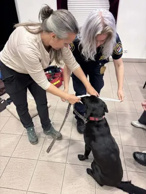 Strażnicy uczyli się ratować psy i koty, gdy liczą się sekundy