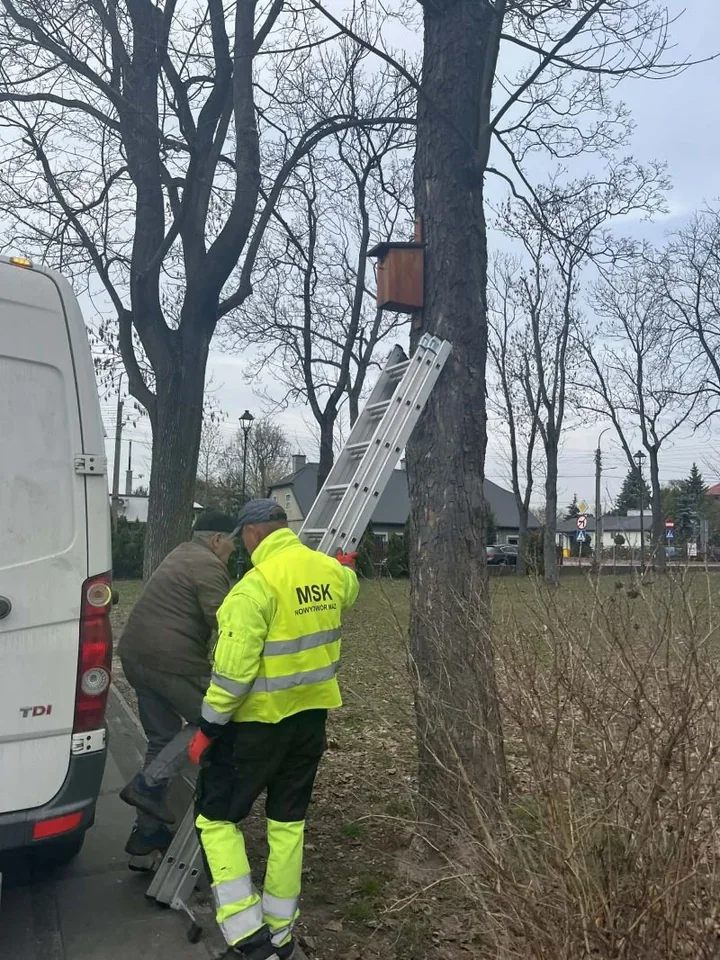 W Nowym Dworze Mazowieckim budki lęgowe stają się małym ratunkiem dla ptaków