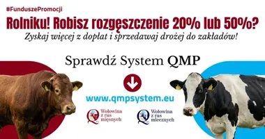 Hodowcy bydła mogą zyskać dodatkowe dopłaty dzięki systemowi QMP